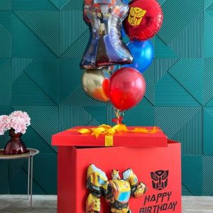 коробка с шарами 25