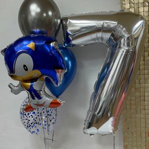 набор 322 Соник